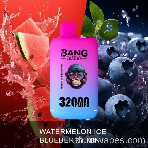 Bang Leader 32K Dual Flavours Disposerive Vape Wholesale